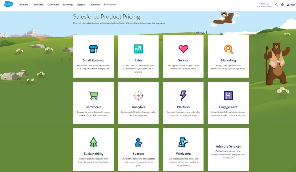 Pricing Models-Salesforce